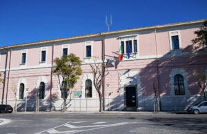 Cagliari, piantumate 6 nuove jacarande in viale Buoncammino