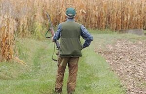 Barisardo, cacciatore si spara in un piede per sbaglio: ricoverato al Brotzu