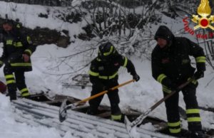 Tonara, crolla un capannone dal maltempo: muore un asinello