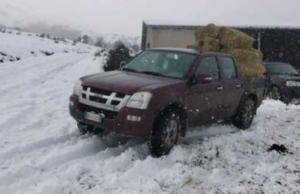 Arzana, gli allevatori si aiutano nel trasporto del foraggio