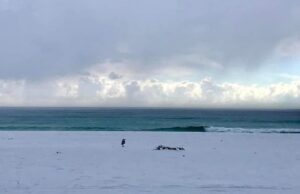 Castiadas sotto la grandine, lo spettacolo naturale incanta il web