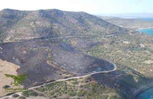 Sei anni di reclusione: condanna esemplare per l’incendiario