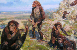 Ominidi: due sarde tra gli scopritori della prima “officina” in Etiopia