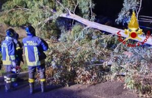 Serdiana, cade un albero in mezzo alla strada per il forte vento