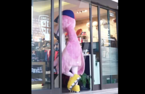 È arrivata la mascotte del Cagliari? | L’annuncio sui social (Video)