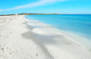 La Pelosa brutta e sporca? Il Comune di Stintino contro le fake news