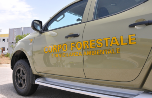 Anziana scivola in un burrone: panico a Villa San Pietro