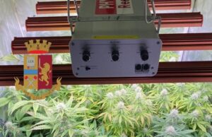 Quartu, 32 enne arrestato per spaccio di droga