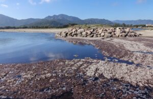 Maltempo, è moria di pesci nella laguna di Feraxi