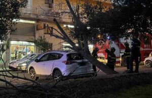 Brividi a Villacidro: un albero spazzato via dal vento si abbatte su un’auto