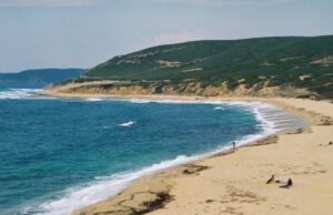 Macabra scoperta ad Arbus: pescatori trovano resti umani in mare
