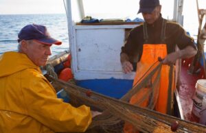 Asinara, progetto di pescatori e ricercatori contro la plastica in mare