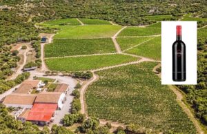 Un vino rosso sardo tra i più venduti del mese di marzo