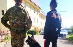 Nuraxinieddu, trovati otto grammi di hashish nei bagni della scuola