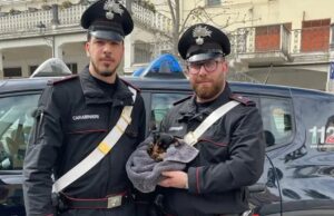 Ozieri, i carabinieri salvano un piccolo cucciolo abbandonato