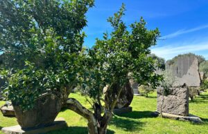 Legambiente premia San Sperate: oltre l’83% di rifiuti raccolti