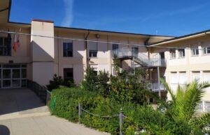 Uccide un cane a colpi di ascia: 4 mesi di carcere per un 55enne