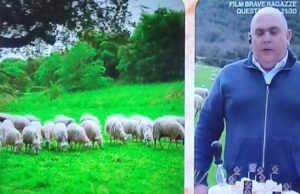Rai 1, Pecorino Romano di Nuragus protagonista da Antonella Clerici