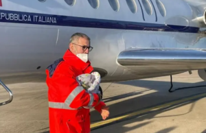 Volo d’urgenza da Cagliari a Roma per neonato in pericolo di vita