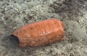 San Vero Milis, riemerge dal mare un’antica anfora in terracotta
