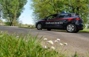 Nell’ovile 18 chili di marijuana, arrestato allevatore a Sassari