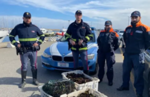 In auto 70 kg di ricci pescati illegalmente: fermati a Lula