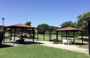 Cagliari, Truzzu rilancia la candidatura della Capitale Verde Europea