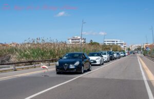 Lo spettacolo della natura a Quartu: fenicottero ferma il traffico