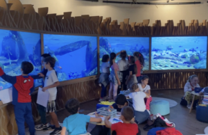 Su Raitre arriva “Play Alghero”, progetto ludico della Fondazione Alghero