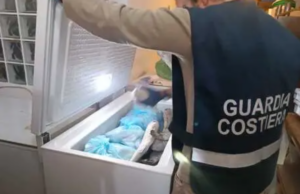 Pesce non tracciato, sequestrati 105 kg a Santa Teresa di Gallura