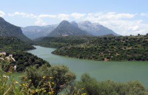 Giovane va fuori strada e precipita nel Cedrino: dramma sfiorato