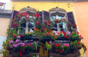 Villanova, dopo tre anni di stop torna Balconi Fioriti
