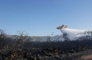Sardegna, via alla campagna antincendi: pronti 7400 uominie 3 Canadair