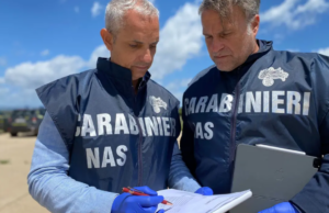 Confezionati tra i topi: sequestrati quasi 900 kg di dolci pasquali