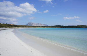 Dal 15 giugno, ingresso contingentato alle spiagge di Lu Impostu e Cala Brandinchi Dal 15 giugno, ingresso contingentato alle spiagge di Lu Impostu e Cala Brandinchi