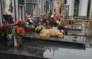 Sepoltura congiunta,ecco la proposta sarda | Caddeo: “Legge di buon senso”