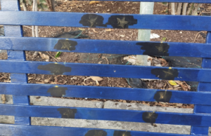 Cagliari, vandalizzata la panchina europea in piazza Costituzione