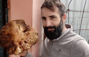 Seulo, la scoperta di un cercatore di funghi: un porcino da 1,3 kg