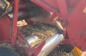 Tragedia a Carbonia: 43enne muore schiacciato nella mietitrebbia