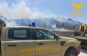 Caldo record e la Sardegna brucia: 23 incendi in un solo giorno