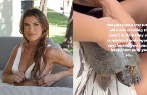 Elisabetta Canalis dal cuore d’oro: salva una tartaruga in strada