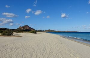 Muravera, rubate le perimetrazioni delle dog beach in due spiagge