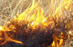 Cagliari, pericolo “alto” per incendi previsto domenica 2 luglio