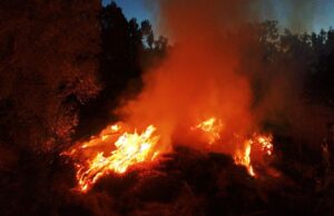 Pericolo incendio: confermata l’allerta arancione anche a Cagliari