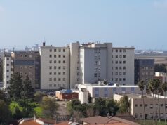 Febbre del Nilo, quarto decesso nell’Oristanese: 27 i casi accertati