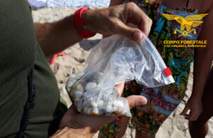 Un chilo di ciottoli di quarzo in borsa, turista denunciato a Valledoria