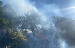 Incendio Nughedu San Nicolò, il sindaco: “È una dichiarazione di guerra”