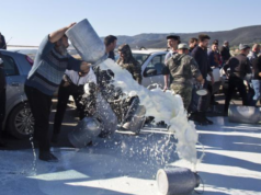 Pastori in allarme per il prezzo del latte, appello agli industriali