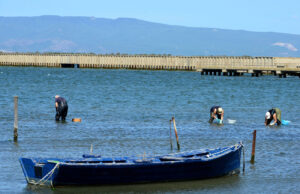 Tragedia a Marceddì: 67enne stroncato da infarto mentre coglie arselle