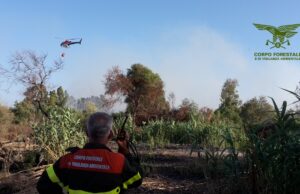 Riparte l’incendio a Sorgono, un canadair e tre elicotteri in volo